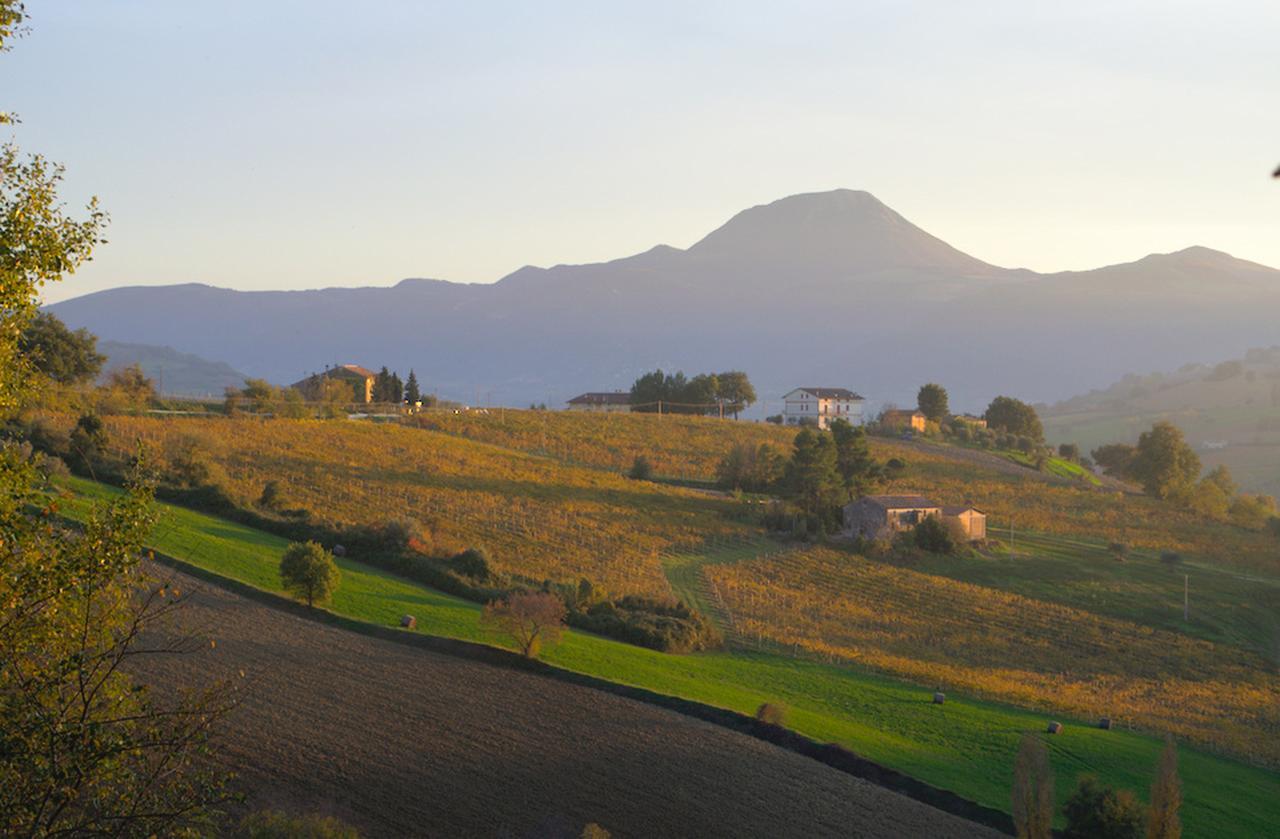 Bed and Breakfast La Girandola Cupramontana Exterior foto